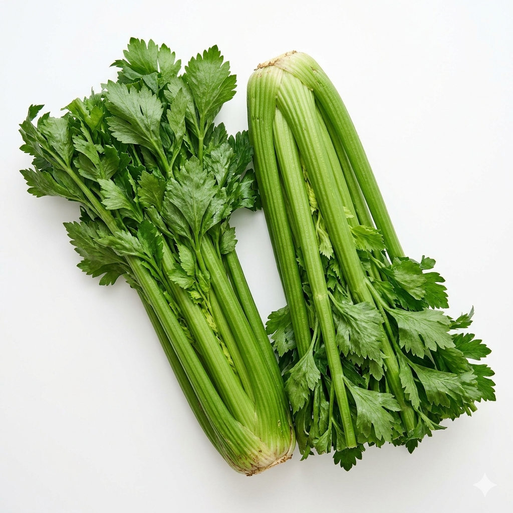 Sedano