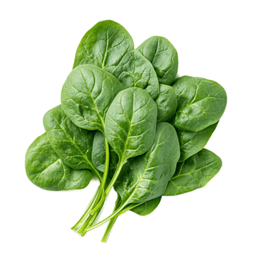 Spinaci